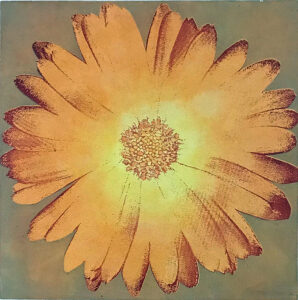 Elisabeth Hilling "Solblomma"